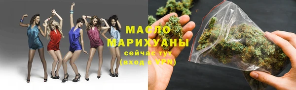 хмурый Дмитровск