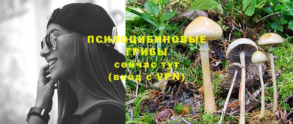 хмурый Дмитровск