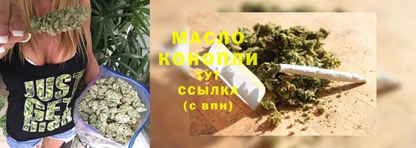 хмурый Дмитровск