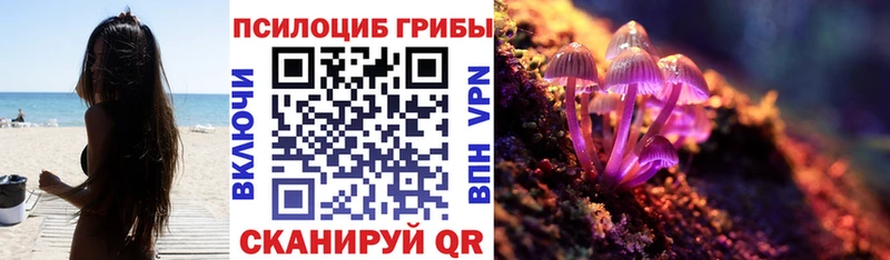 Псилоцибиновые грибы мицелий  Купить где  Вуктыл 